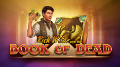 Book of Dead — Play'n GO slot